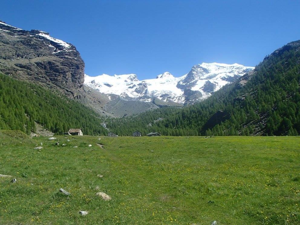 Residence Les Coupoles Champoluc Exterior foto